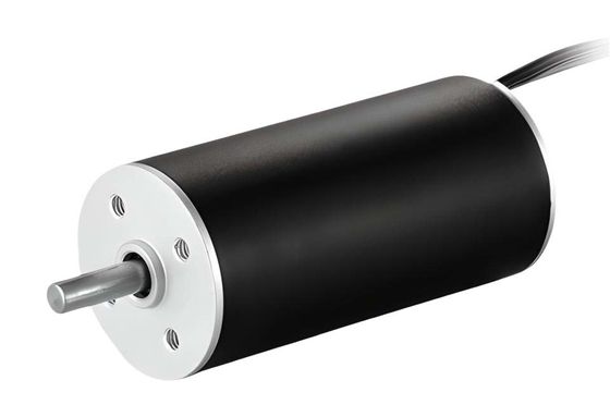 22 mm Schlitzloser Bürstenloser Gleichstrommotor 36V 16768 Rpm Anpassbares Leichtgewicht