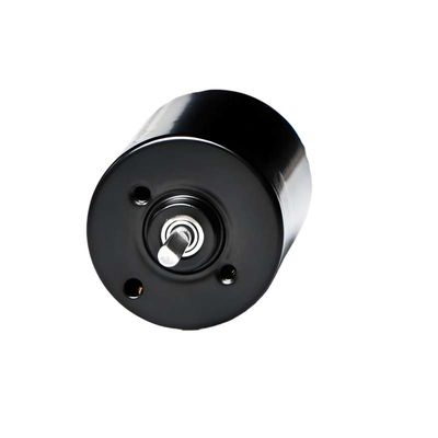 28 mm PMDC Bürstenloser Motor mit integriertem Treiber 5.1W 12V 24V Hochleistungs-BLDC-Motor für elektrische Fenstervorhänge