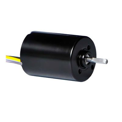28 mm PMDC Bürstenloser Motor mit integriertem Treiber 5.1W 12V 24V Hochleistungs-BLDC-Motor für elektrische Fenstervorhänge