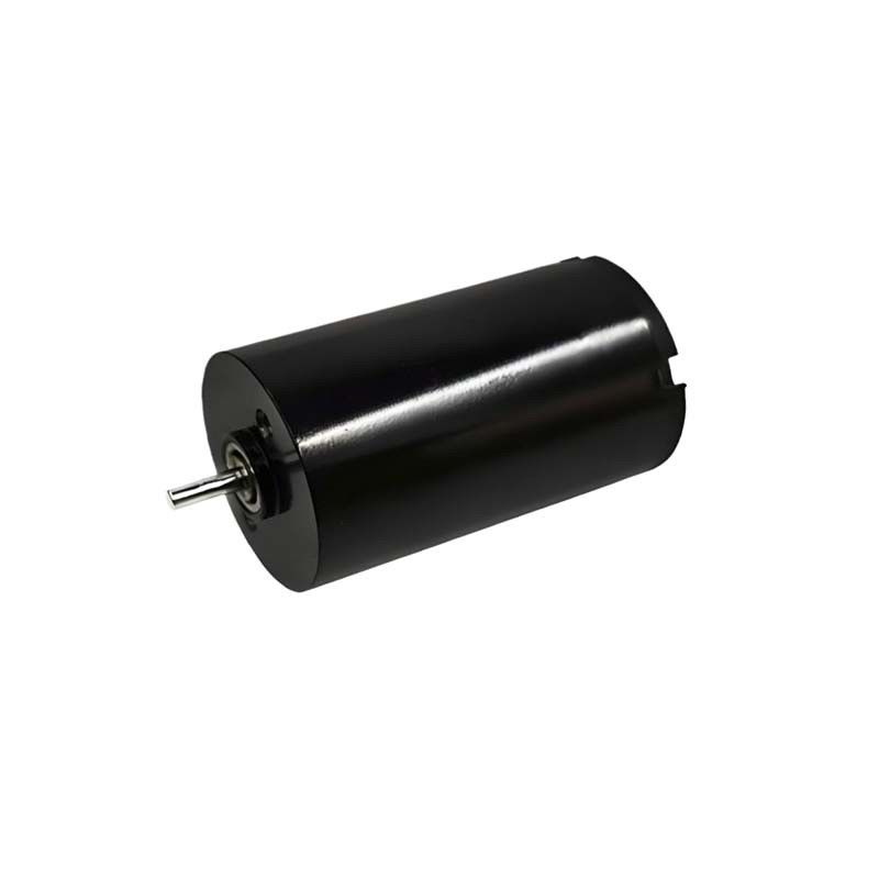 16mm Bürste Gleichstrommotor 1,57 Watt 9980 Rpm Elektrische Bürste Gleichstrommotor 24V Anpassbar