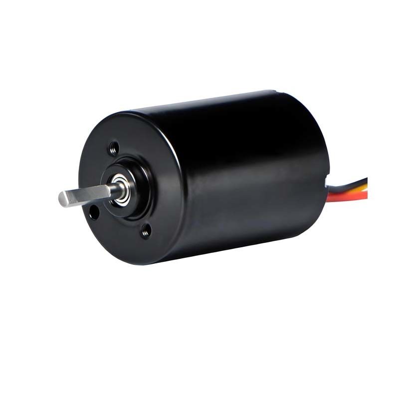 28 mm PMDC Bürstenloser Motor mit integriertem Treiber 5.1W 12V 24V Hochleistungs-BLDC-Motor für elektrische Fenstervorhänge