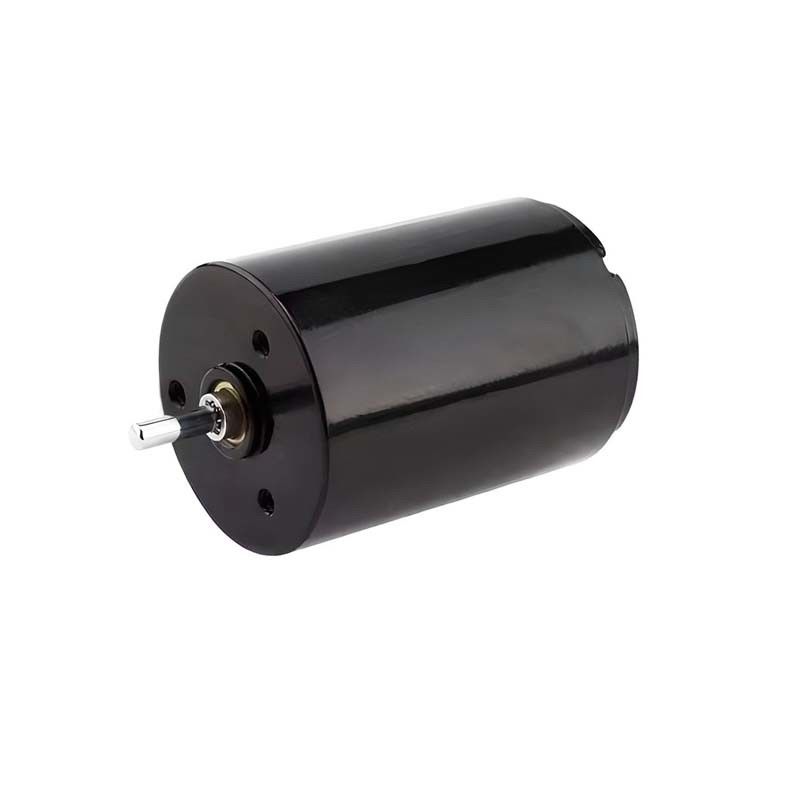 Ease Control Carbon Brush Motor Micro 22mm 3,61 Watt 6900 Dreh/min 36V anpassbar